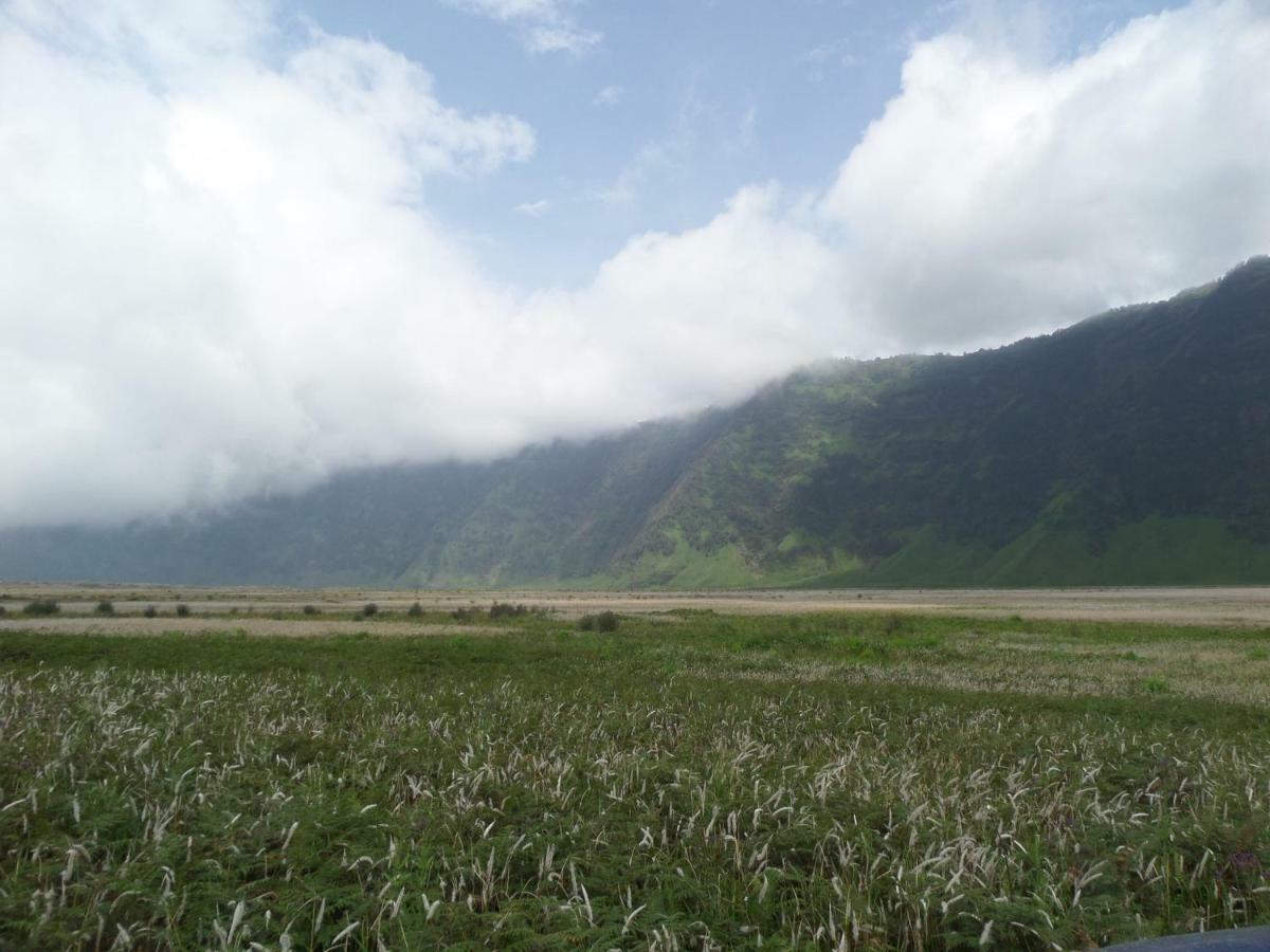 Bromo Permai 1 Hotel Екстериор снимка