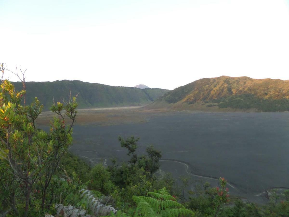 Bromo Permai 1 Hotel Екстериор снимка