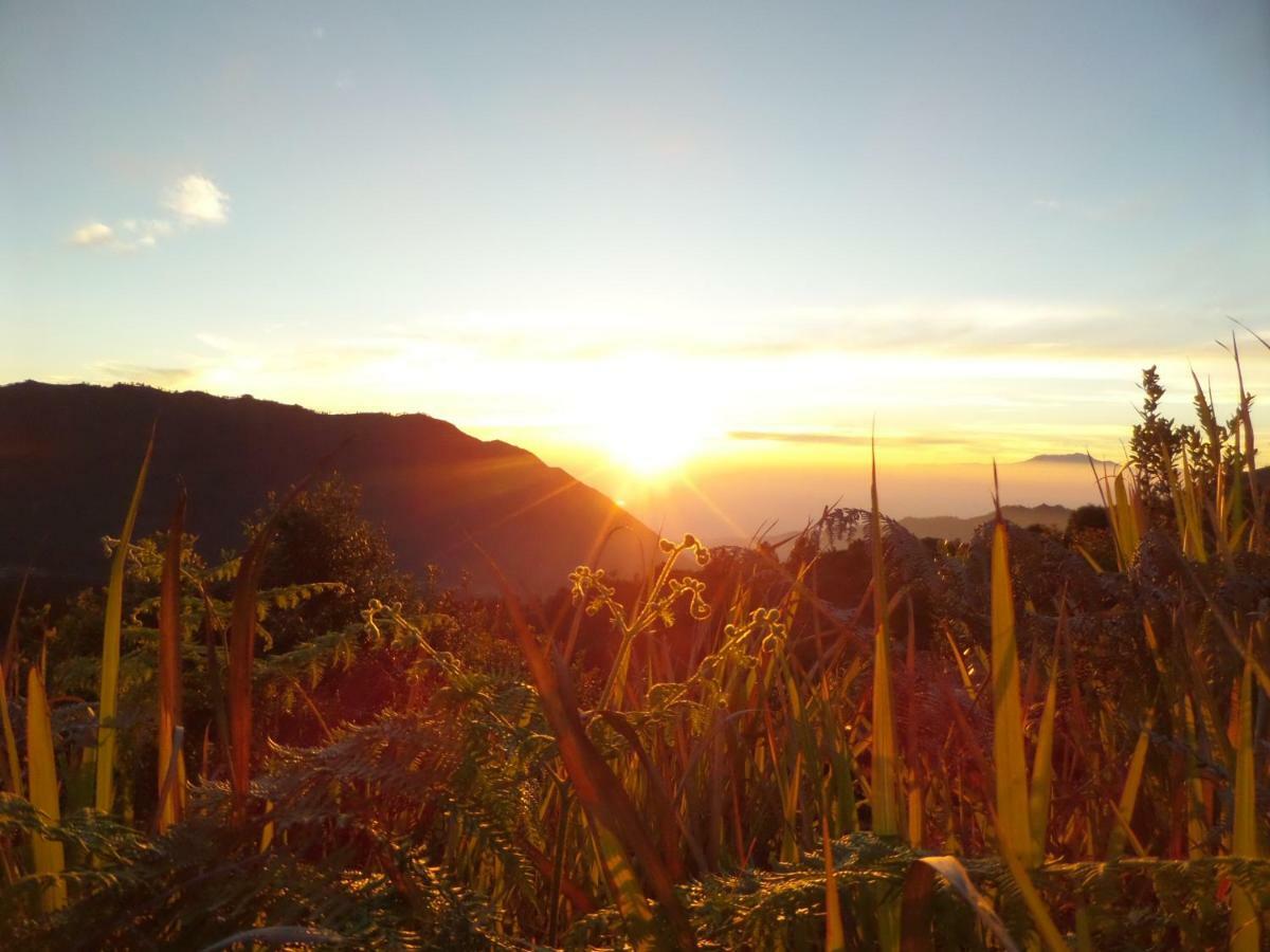 Bromo Permai 1 Hotel Екстериор снимка
